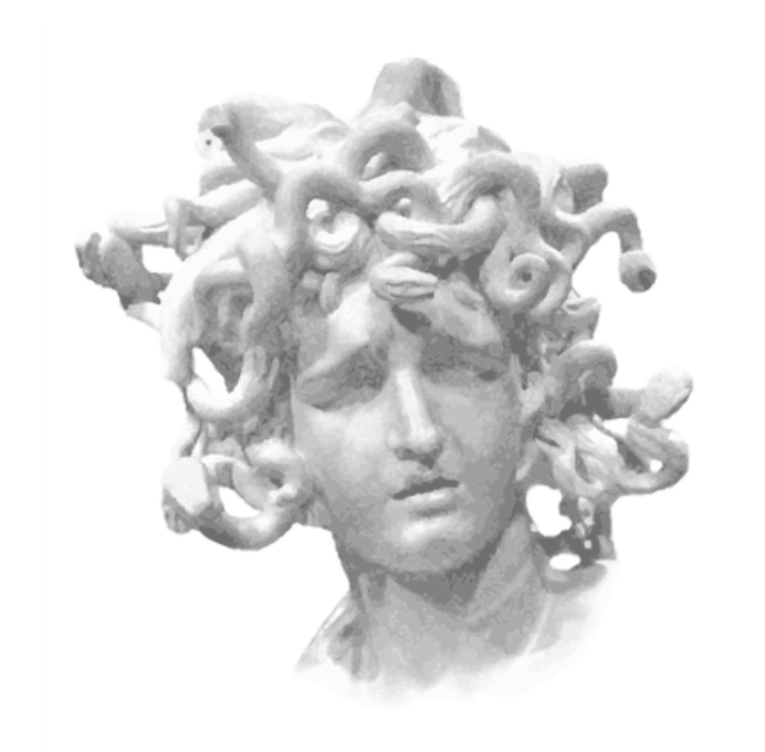 Medusa head sculpture in gray color