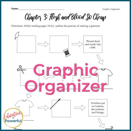 Study Guide Alternatives Graphic Organizer example